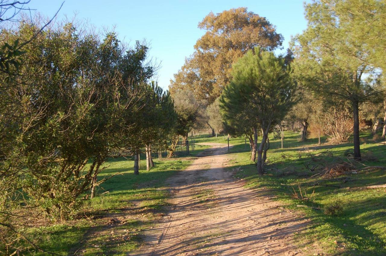 Casas Herdade Do Convento Da Serra Almeirim Exterior photo